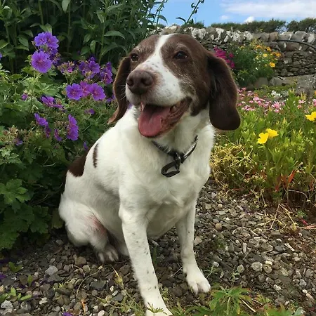 Conway's With Sea View Nestling By Cliffs-of-moher 3* Liscannor