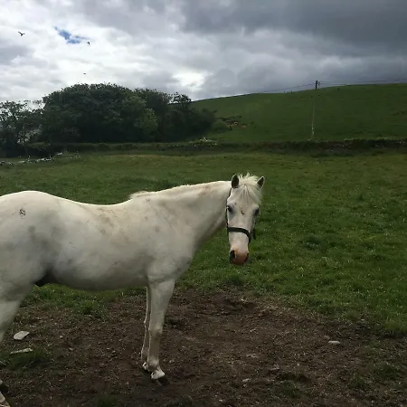 Conway's With Sea View Nestling By Cliffs-of-moher 3* Liscannor