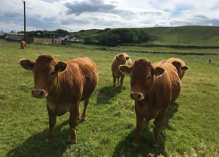 Conway's With Sea View Nestling By Cliffs-of-moher 利斯坎诺
