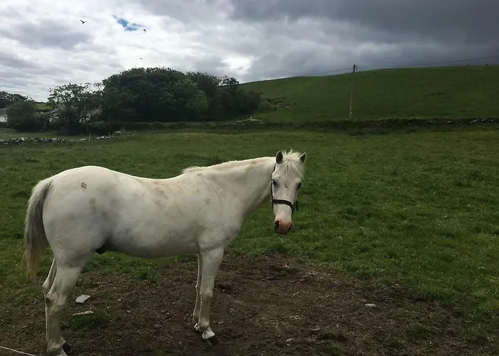 Conway's With Sea View Nestling By Cliffs-of-moher 3* 利斯坎诺