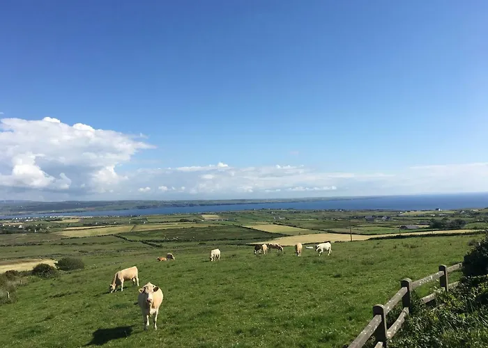 Conway's With Sea View Nestling By Cliffs-of-moher 住宿加早餐酒店 利斯坎诺