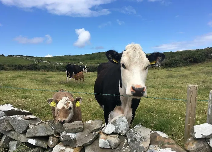 Conway's With Sea View Nestling By Cliffs-of-moher